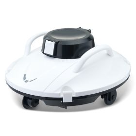 Pool Cleaning Machine (Color: White)